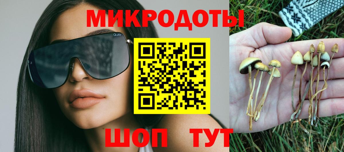Псилоцибиновые грибы Cubensis  Вход с VPN  Глазов 