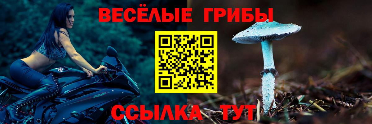 Галлюциногенные грибы прущие грибы Глазов